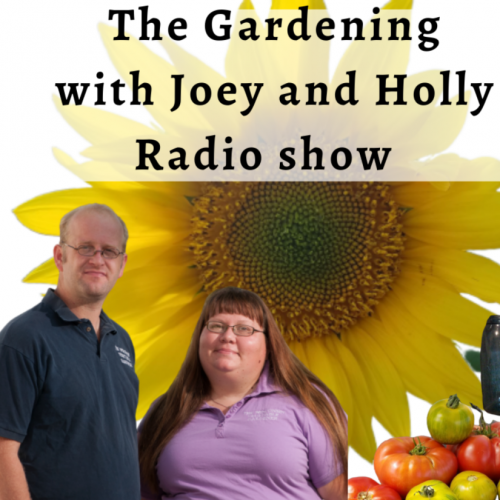 Gardening Joey Holly